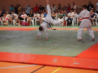 Image description